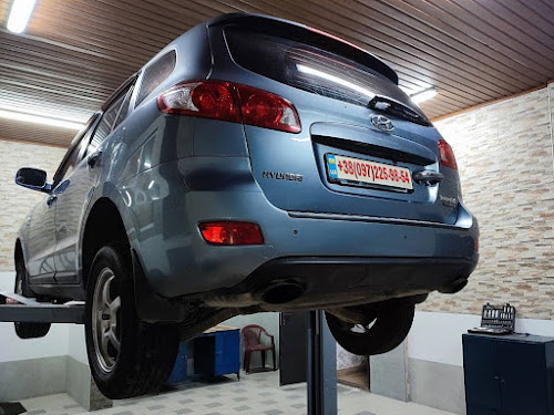 Заміна підвісного підшипника Hyundai Santa Fe 2.2 л. 2006